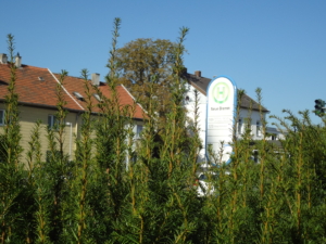 Bushaltestelle Neue Bremm