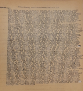 Schilderung der Lebensverhältnisse