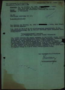 Bericht des Lagerarztes im Konzentrationslagers Natzweiler vom 24.08.1943